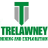 Trelawny mining - small